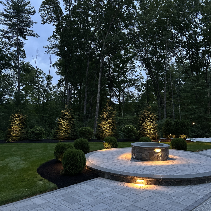 Services Lighting replace tree up-lighting picture with this one