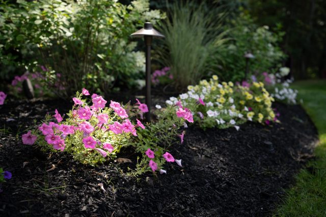 Services= landscape= place next to seasonal plantings section